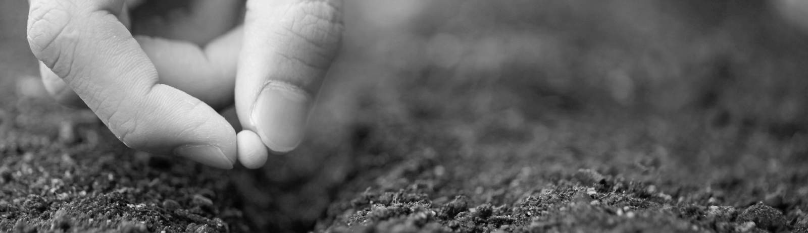 BGS Holding AG Moodbild